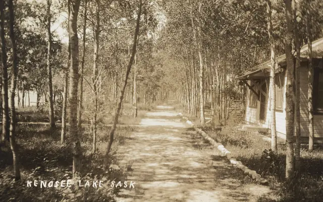 Tree-lined path at Kenosee Lake